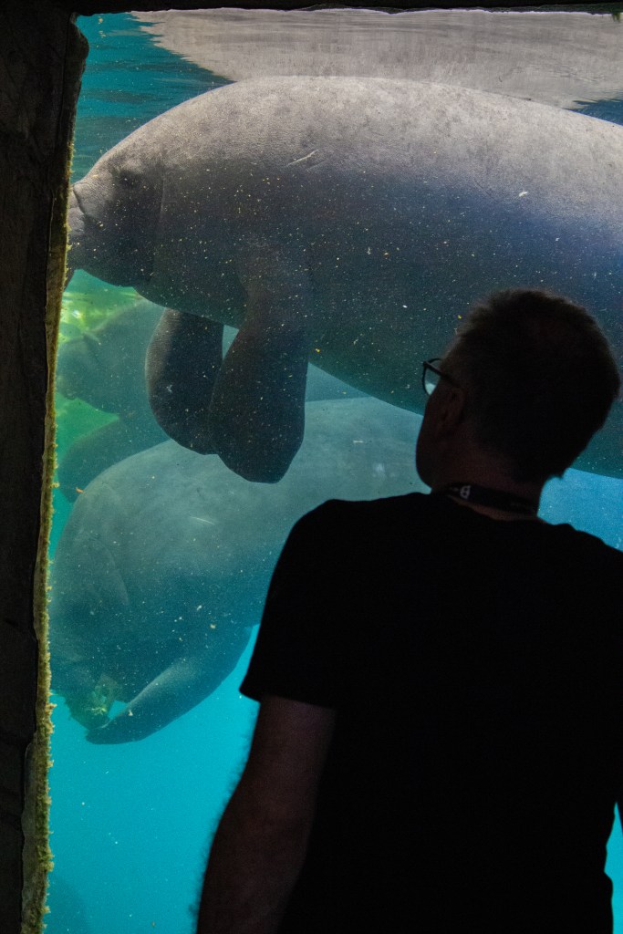 colloque de l’AFSA au ZooParc de Beauval, Sébastien Métrailler