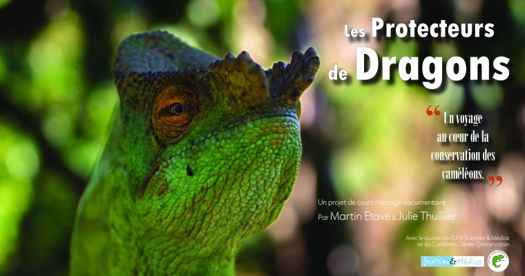 Les Protecteurs de&nbsp;Dragons