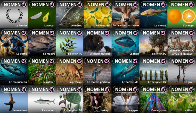 Nomen, un podcast sur l&rsquo;origine des noms du&nbsp;vivant